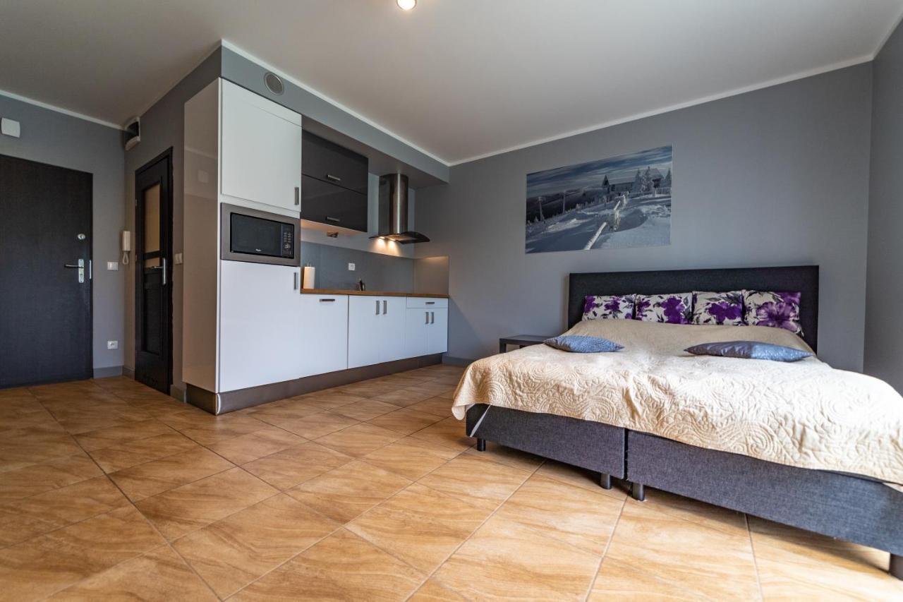 Apartament Zielony Zakatek Świeradów-Zdrój Exterior foto